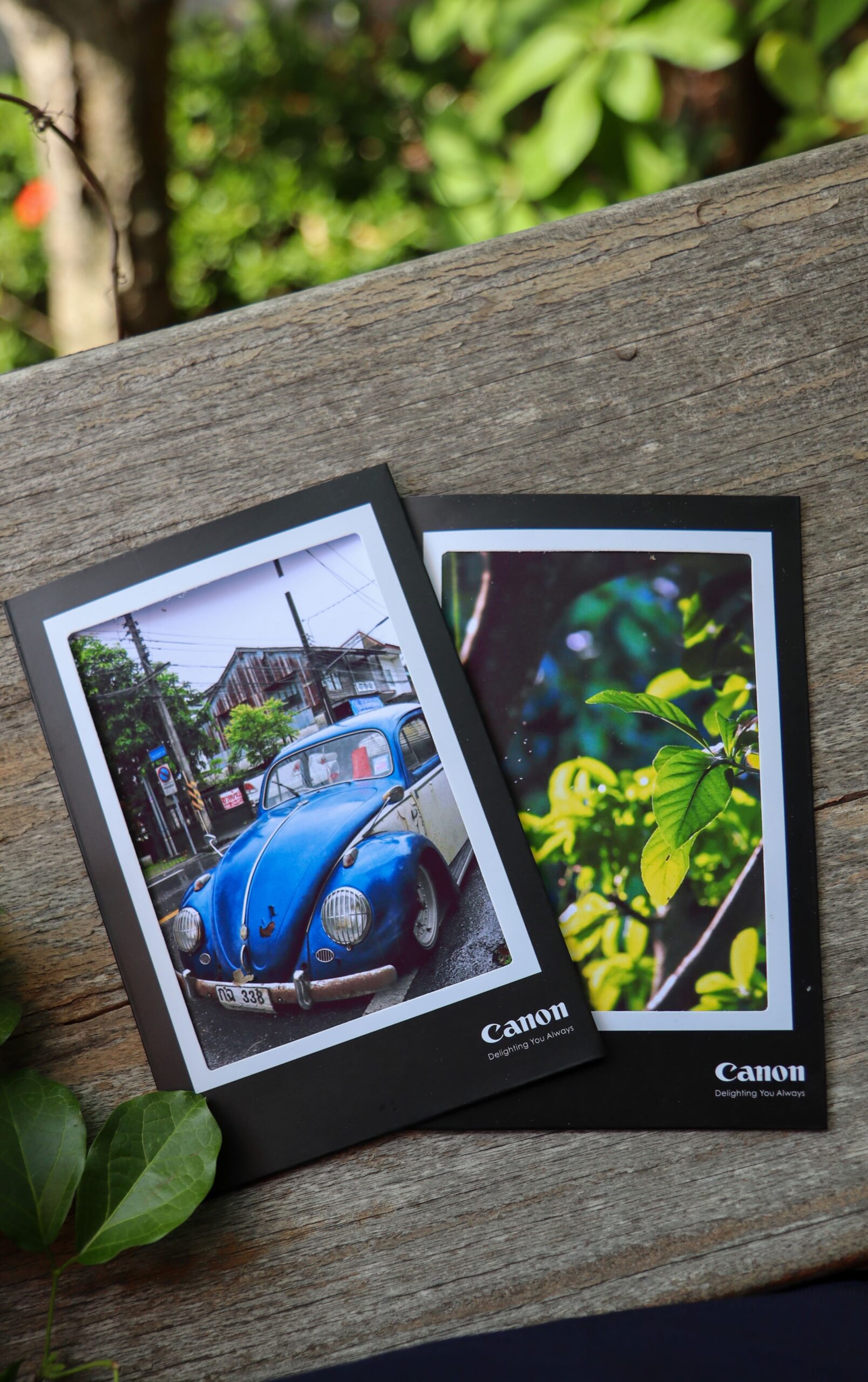 รูปภาพโพโต้